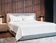 Astra trắng – Decora