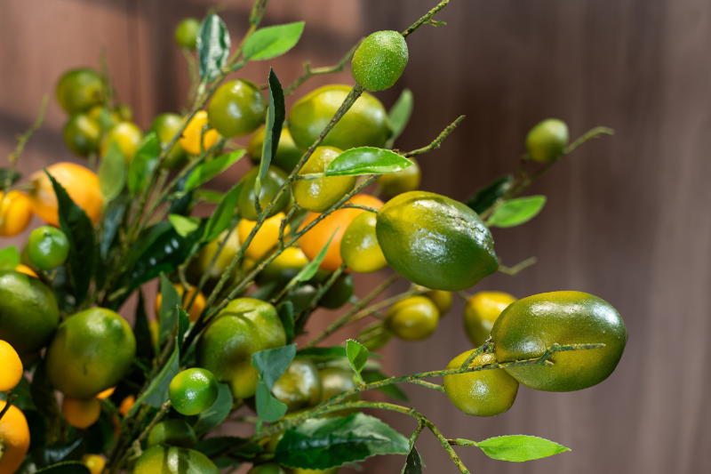 Cành chanh màu xanh; Cành chanh màu vàng – Decora