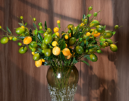 Cành chanh màu xanh; Cành chanh màu vàng – Decora