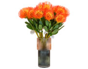 Cành hoa cẩm chướng 52505 – Decora