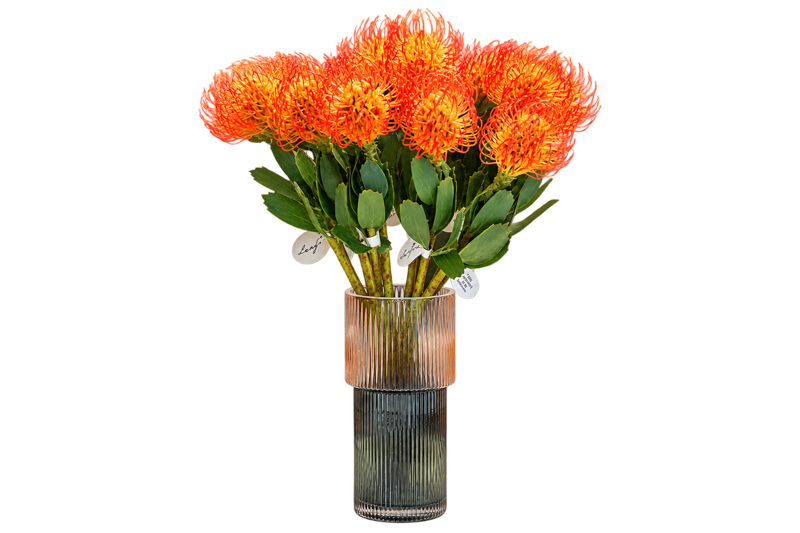 Cành hoa cẩm chướng 52505 – Decora
