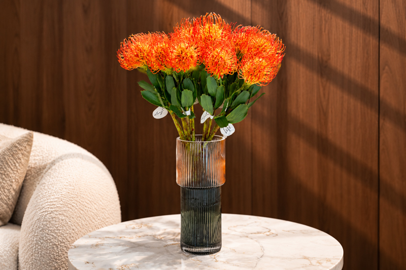 Cành hoa cẩm chướng 52505 – Decora