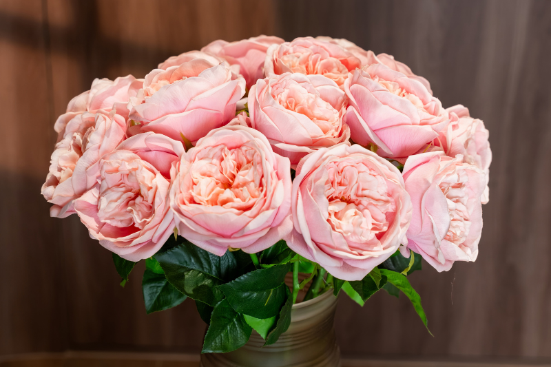 Cành hoa hồng David Austin The Pilgrim nhân tạo màu hồng – Decora