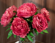 Cành hoa mẫu đơn loại to – Decora