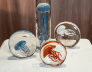 Decor Muse; Decor Moon – Decora