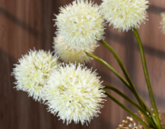 Hoa bồ công anh – Decora