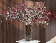 Hoa lài Thái tía – Decora
