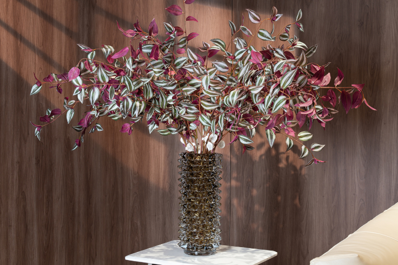 Hoa lài Thái tía – Decora
