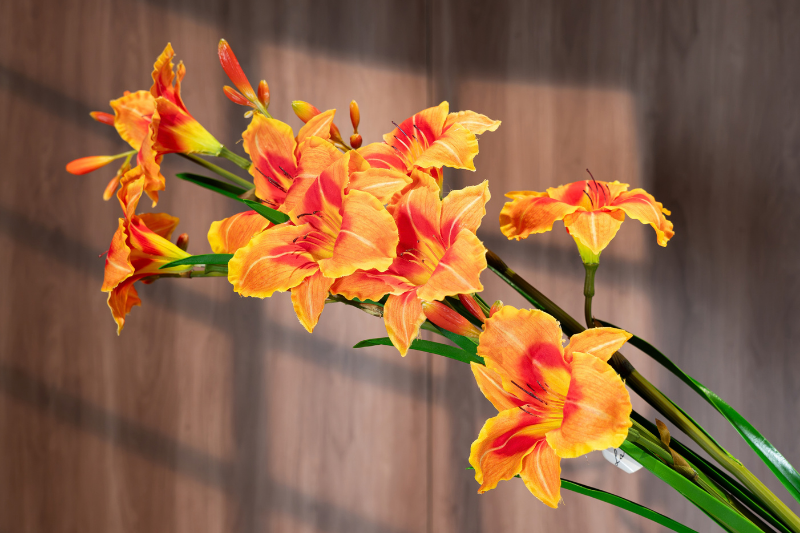 Hoa loa kèn màu vàng cam – Decora