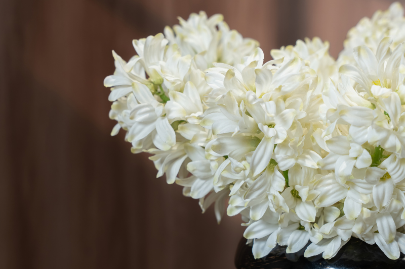 Hoa lục bình màu trắng – Decora