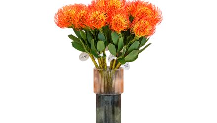 Cành hoa cẩm chướng 52505 – Decora