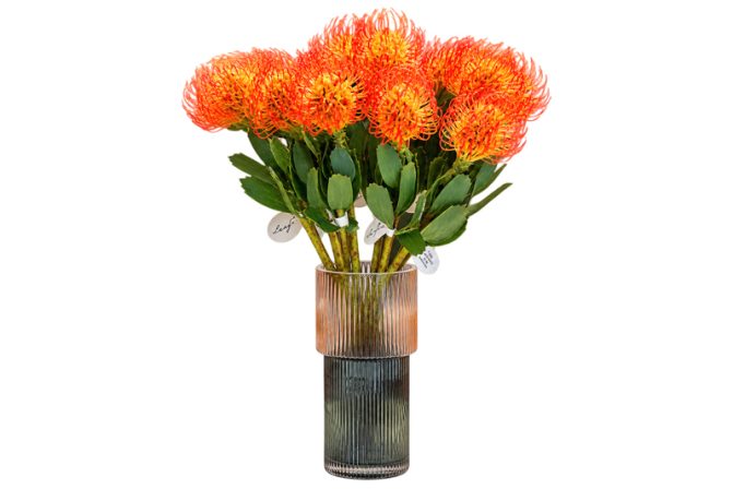 Cành hoa cẩm chướng 52505 – Decora