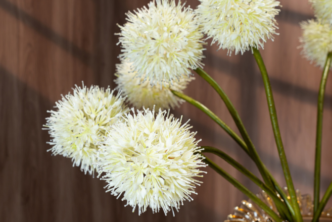 Hoa bồ công anh – Decora